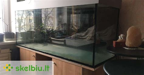 akvariumas su paslėptu filtru už augalų