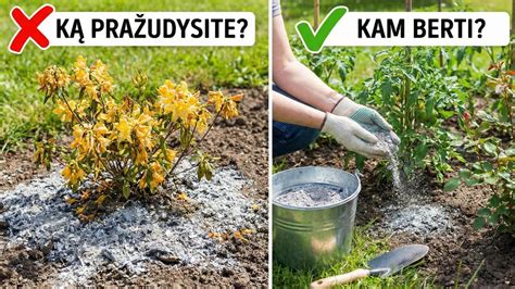 atvėsę pelenai krosnelėje