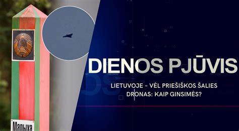 Pleištinio vielos sieto pjūvis