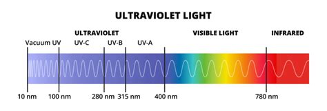 CE ir UV 400 ženklų pavyzdžiai