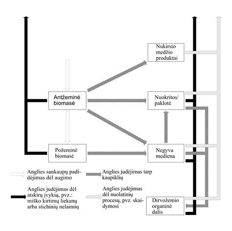 Schema, iliustruojanti anglies filtro keitimo procesą