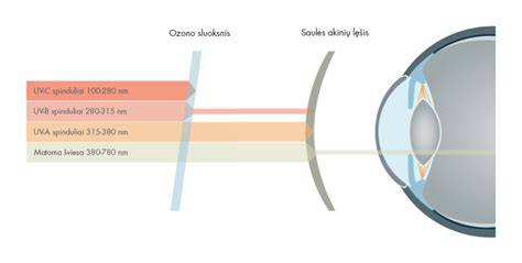 UV spindulių poveikis akims infografika