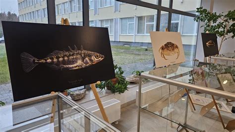 Plūdriojo povandeninio aeratoriaus schema