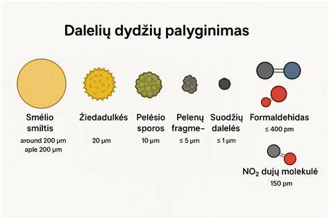 anglies filtrai efektyvumas vizualiai