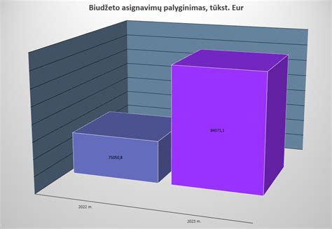 mikronų dydžio palyginimas su įprastais objektais