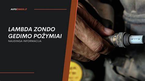 vizualinė schema lambda zondo išmetimo įrengimo