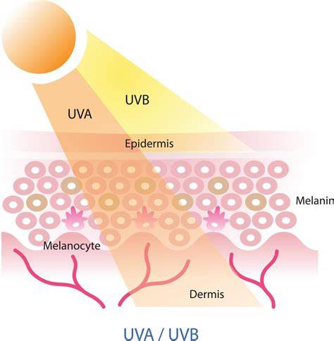 infografika apie UVA UVB filtrus