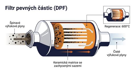 DPF priežiūros schema infografika