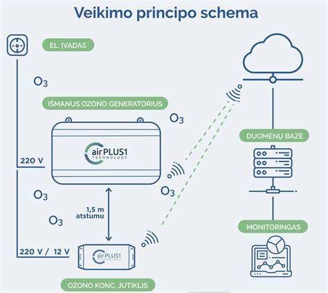 infografika apie filtrų veikimo principus