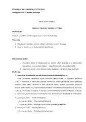 scheminė tikrinimo tikslų diagrama