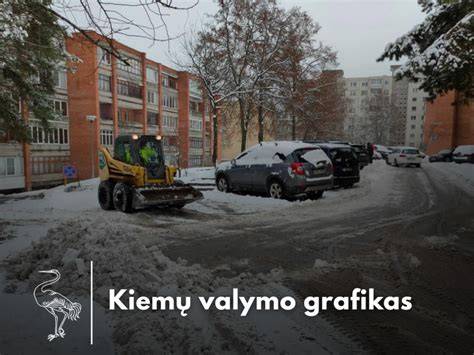 grafikas nuoteku valymo procesu