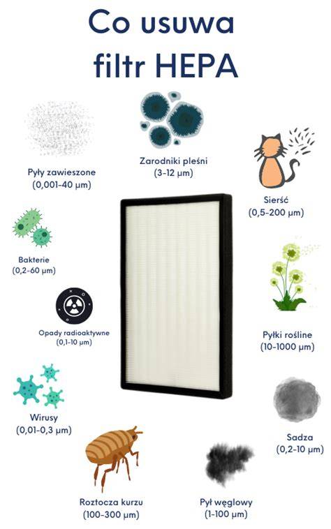 HEPA filtrų taikymo spektras infografika