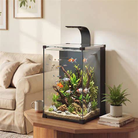 filtravimo mechanizmas akvariume