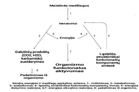 filtravimo medžiagų įdėjimo schema