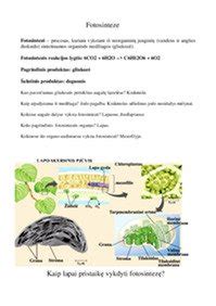 grafinis distiliavimo proceso schema