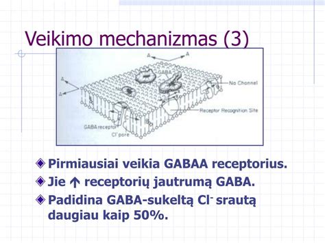bispecifinių antikūnų struktūra ir veikimo mechanizmas