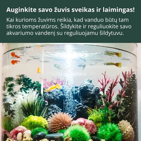 Akvariumo grunto frakcijos