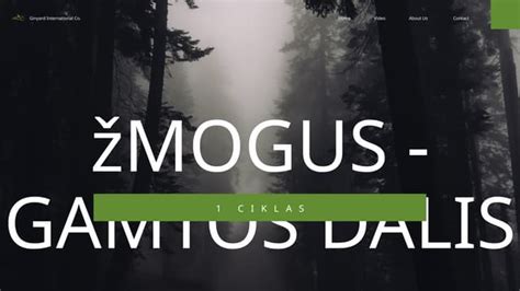 Žmogus, stebintis gamtos švarą