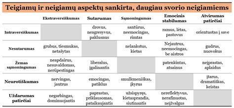 lyginamoji lentelė skirtingų maišelių ir filtrų kainų ir savybių