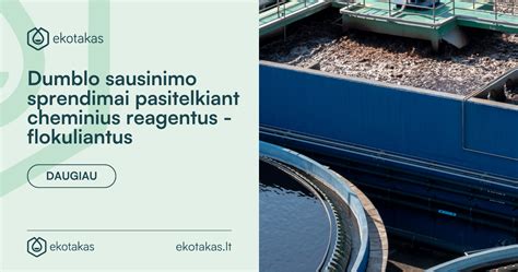 Dumblo sausinimo aikštelė