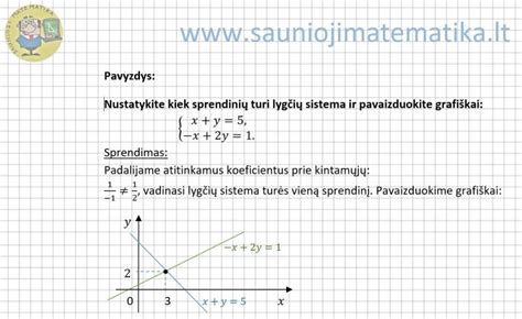 NTIS sistemos naudojimo pavyzdys