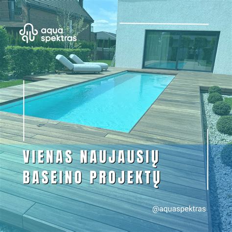 Baseino žiemos danga