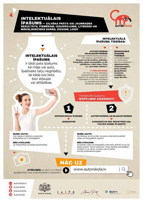 Infografika apie TAC procesą