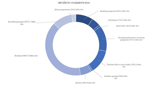 Infografika: ES ir savivaldybės finansavimo pasiskirstymas