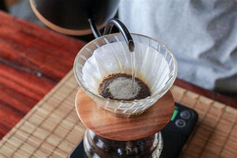 popierinių kavos filtrų įvairovė