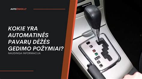 Schematinis automatinės pavarų dėžės išpjaustymas su pažymėtu filtru ir alyvos padėklu