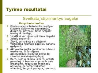 Fitoekstrakcijos principas: augalai valo dirvožemį