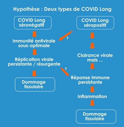Schema: COVID-19 įtakos baseinų sektoriui analizė