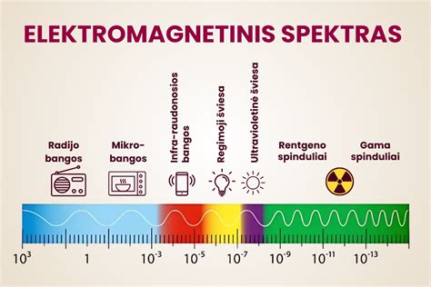Infografika: Antibiotikų veikimo spektras