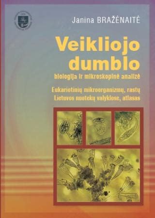 Veikliojo dumblo ir mikroorganizmų mikroskopinis vaizdas