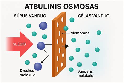 Atvirlaičio osmoso sistemos veikimo principas
