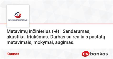Inžinierius, konsultuojantis su klientu