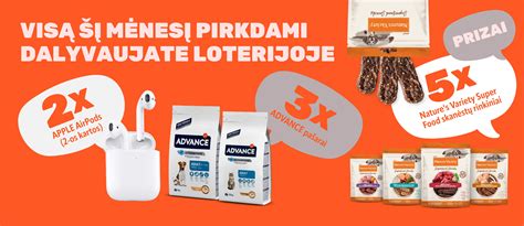 Šunų ir kačių anatomija: inkstų padėtis