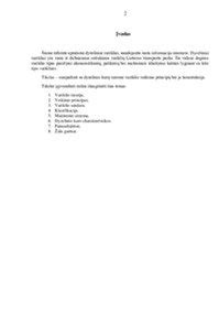 Schematinis dyzelinio kuro filtro veikimo principas